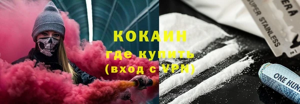 гашик Зеленокумск