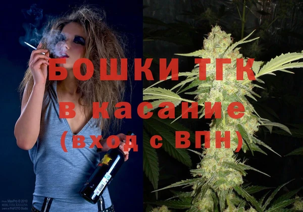 ГАЛЛЮЦИНОГЕННЫЕ ГРИБЫ Богданович