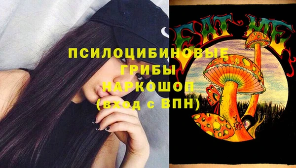 ГАЛЛЮЦИНОГЕННЫЕ ГРИБЫ Богданович