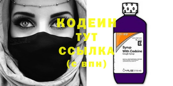 ГАЛЛЮЦИНОГЕННЫЕ ГРИБЫ Богданович