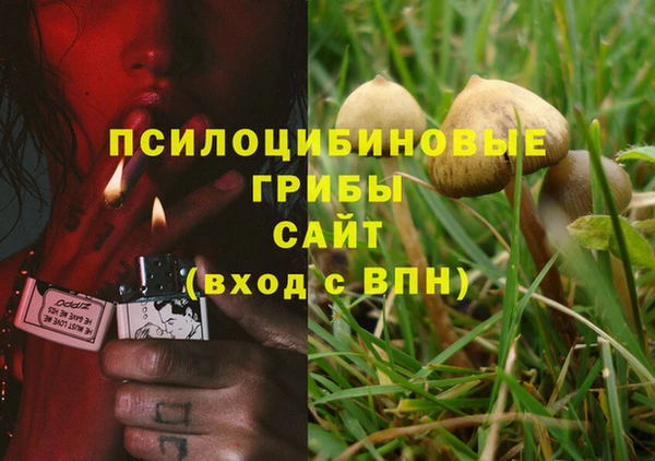 ГАЛЛЮЦИНОГЕННЫЕ ГРИБЫ Богданович