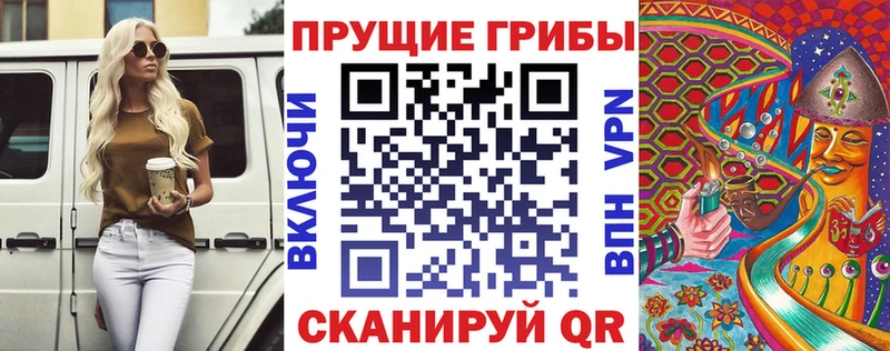 Псилоцибиновые грибы мицелий kraken ссылки Макаров как найти наркотики